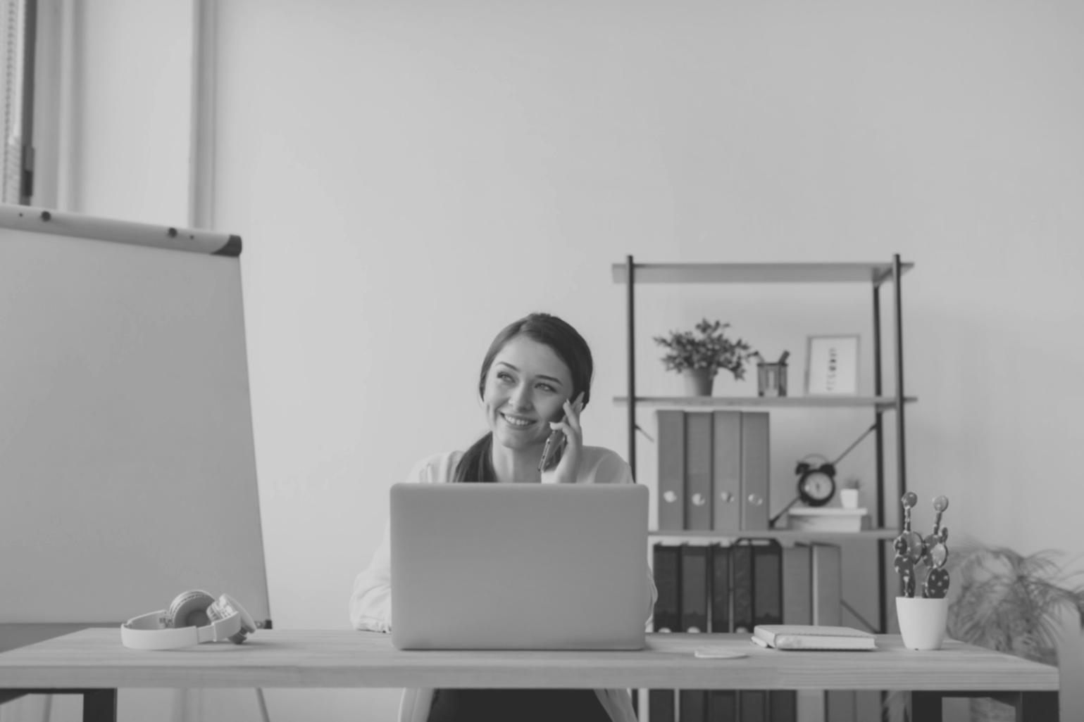 Professional budget analysis workspace